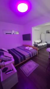 Krevet ili kreveti u jedinici u objektu Apartment Allapera