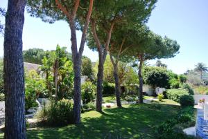 Aed väljaspool majutusasutust Paradiso Terme Resort & SPA con 5 piscine termali
