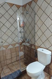 a bathroom with a toilet and a shower at Anastasia Luxury Villas in Gavrio