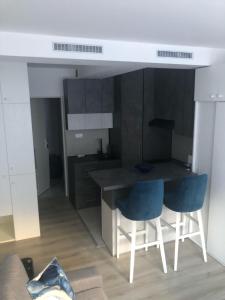 Kuchyň nebo kuchyňský kout v ubytování Beograd stan na dan