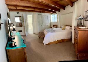 ein Schlafzimmer mit einem Bett und einem Schreibtisch in einem Zimmer in der Unterkunft Unique and Secluded Dome Getaway near Sacramento, California in Barton