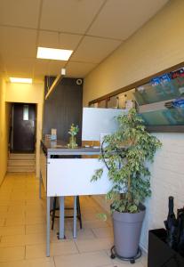 Fotografie z fotogalerie ubytování Hotel Uilenspiegel v destinaci Nieuwpoort