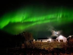 Foto sihtkohas Selfoss asuva majutusasutuse Fellskotshestar Guesthouse galeriist