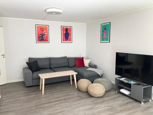 a living room with a couch and a table and a tv at 3BR Penthouse in city center with free parking in Oslo +9 photos