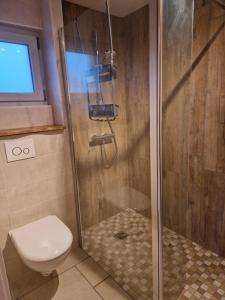 a shower stall in a bathroom with a toilet at L'Impasse du Jura in Ménétru-le-Vignoble