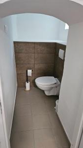 a bathroom with a toilet in a room at Kaán Károly Kulcsosház in Kisapáti
