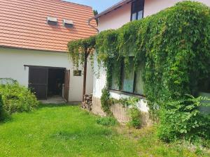 Afbeelding uit fotogalerij van Chata pod Kalichem in Třebušín