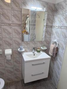 Koupelna v ubytování apartmani Mandic + 27 fotografií