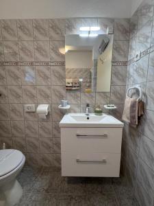 Koupelna v ubytování apartmani Mandic