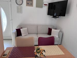 TV a/nebo společenská místnost v ubytování apartmani Mandic