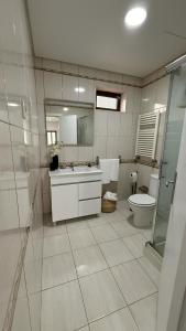a bathroom with a toilet and a sink and a shower at Casa de campo do Rojão do Meio in Mesão Frio