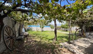 Gallery image of Casona de Adobe Hospedaje in Santa María +5 photos