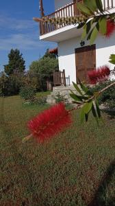 Fotografie z fotogalerie ubytování "STARDUST" Family House v destinaci Metamorfosi