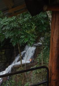 Foto sihtkohas Beragala asuva majutusasutuse Kithul cob hideaway galeriist