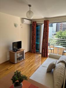 TV a/nebo společenská místnost v ubytování Apartments Rafailović Ljubo