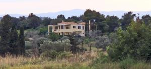 a house in the middle of a field with trees at Villa Oliva in Porto Heli