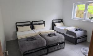a room with two bunk beds and a window at Ferienwohnung Am Brandholz in Altenbeken