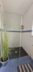 a shower with a glass door in a bathroom at Gurrane House in Galway +7 photos