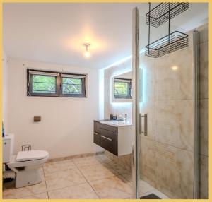 une salle de bains avec douche, toilettes et lavabo dans l'établissement La Colline I T3 I Vétraz-Monthoux, à Vétraz-Monthoux