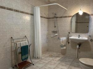 a bathroom with a shower and a sink and a toilet at Les petites chaumes in Champagné-le-Sec +4 photos
