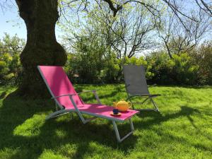 a pink chair sitting in the grass next to a tree at Les petites chaumes in Champagné-le-Sec
