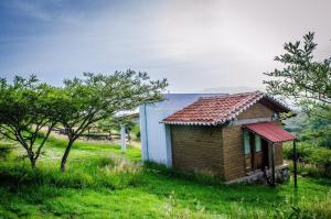 una piccola casa in un campo erboso con alberi di LomaRaboRatón a Città di Oaxaca