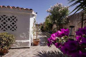 einen Innenhof mit Topfpflanzen und einem Zaun in der Unterkunft Deluxe Los Porches - by Gestión Vacacional Canarias in Playa del Ingles