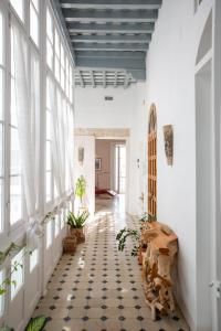 Zdjęcie z galerii obiektu Casa Plaza San Antonio w Kadyksie