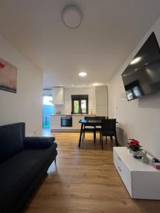 TV a/nebo společenská místnost v ubytování Hotel Ana Murter