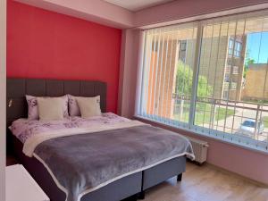 a bedroom with a bed and a large window at Sunny Lotus Apartamentai in Druskininkai