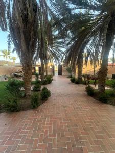 a brick walkway with palm trees in a courtyard at villa sea view in Jeddah +2 photos