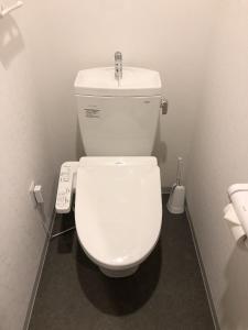 a white toilet in a bathroom with a sink at New Built Apartment Hokusai-kan Osaka Nishinari in Osaka +24 photos