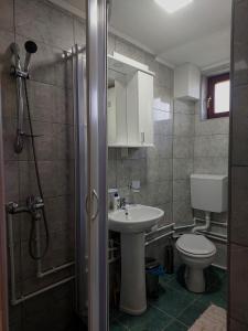 a bathroom with a sink and a toilet and a shower at Petrovača in Žabljak