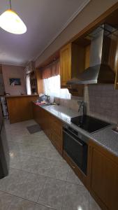 a kitchen with a sink and a stove at Dimitris gerakas apartment in Mesochórion +7 photos