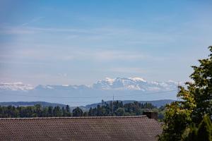 Ferienwohnung "Schlüchttalblick" mit privater Sauna, Ühlingen-Birkendorf في اولينغين-بيركيندورف: منظر جبال مغطاة بالثلج من المنزل