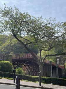 a bridge with a tree on the side of a street at The Tontine Hotel & Bar in Ironbridge +26 photos