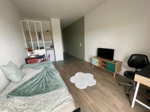 a bedroom with a bed and a desk and a television at Bright and peaceful studio with extendable bed in Palaiseau