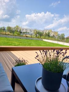 a blue table with flowers on a balcony at Apartament 150 Zaspa VVita z ogrodem i tarasem in Gdańsk