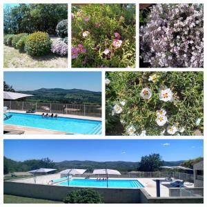 a collage of photos of a swimming pool with flowers at Domaine la cheneraie in Mirabel