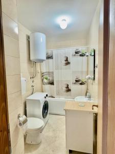 a bathroom with a toilet and a sink and a tub at Apartment Milos in Plužine +15 photos