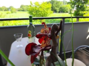 Gallery image of Ferienwohnung Friesoythe mit Ausblick in Friesoythe