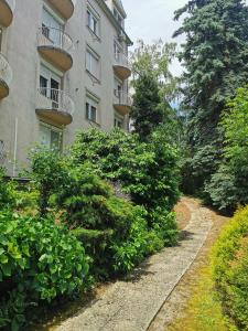 Κήπος έξω από το Relax Liftes Apartman