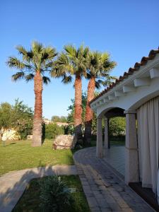 a porch with palm trees in a park at Villa Cuoredimare exclusive use in Cala Sinzias +23 photos