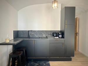 a kitchen with a counter and a refrigerator at Auberge du roc in Saint-Ambroix
