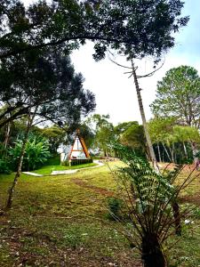 a tent in the middle of a park with trees at Cabana Cavalheiros in São José dos Pinhais