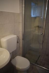 a bathroom with a toilet and a glass shower at Apartments Tonka Grebaštica in Grebaštica +27 photos