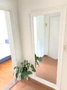 Fotografie z fotogalerie ubytování Apartment Garden ve Splitu