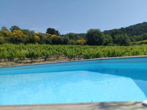 une piscine bleue en face d'un vignoble dans l'établissement Gîte en provence au coeur des vignes, à Villedieu