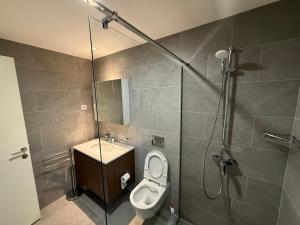 a bathroom with a shower and a toilet and a sink at BelgradeWATERFRONT - Apartments in Sajmište +13 photos