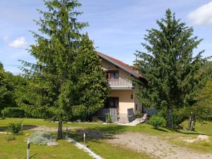 a house with two trees in front of it at Apartments Rooster in Rakovica
